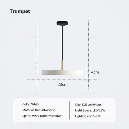 White modern minimalist pendant light with sleek iron and acrylic design featuring decorbites led study disc bulb