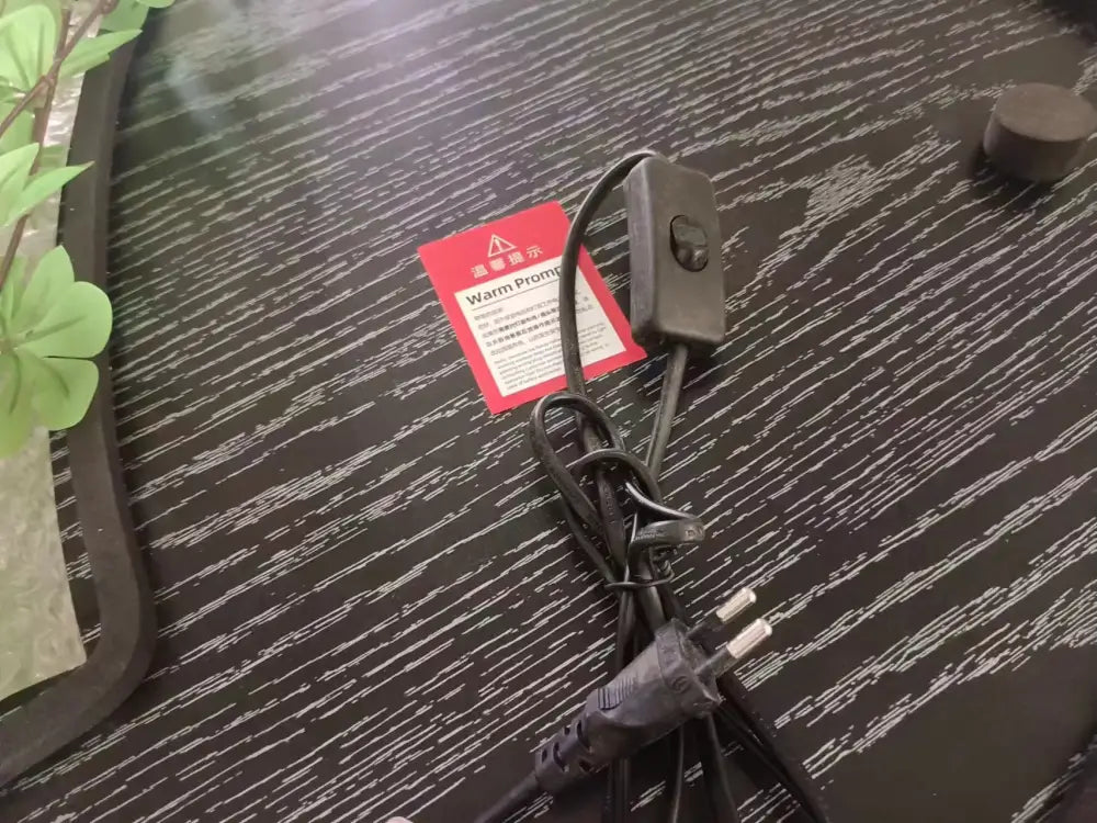 Black electrical cord with gray toggle switch and red warning label for decorbites green plant mural wall lamp