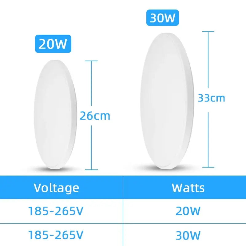 Two white oval decorbites induction led ceiling lights 20w and 30w for modern minimalist bedroom ceiling light decor