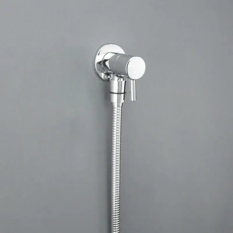 Chrome finished wall-mounted bidet spray with flexible ribbed hose and dual control lever from decorbites brass triangle valve bathroom faucet