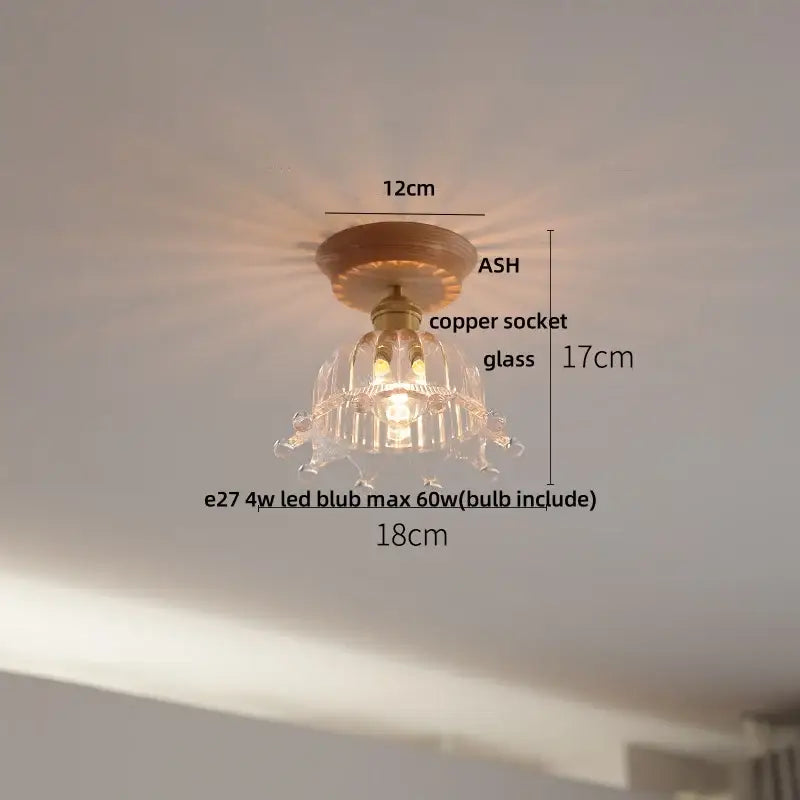 Modern nordic ceiling lamp with decorbites clear glass led, featuring delicate glass, copper socket, and ash base