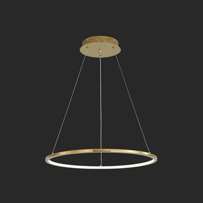 Modern Orbicular Chandelier Lamp - Metallic Simplicity Hanging Light for Living Room