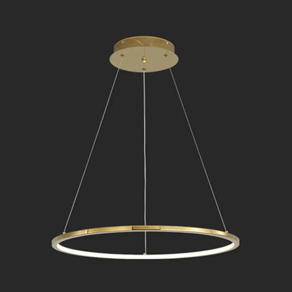 Modern Orbicular Chandelier Lamp - Metallic Simplicity Hanging Light for Living Room