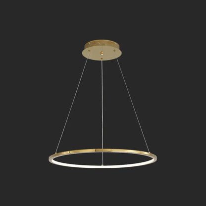 Modern Orbicular Chandelier Lamp - Metallic Simplicity Hanging Light for Living Room