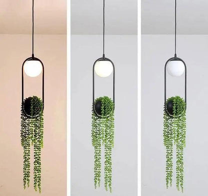 Modern Planter Pendant Lighting
