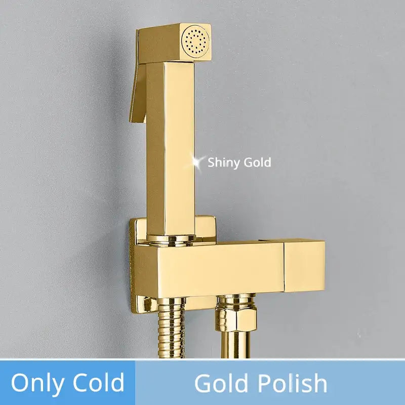 Shiny gold handheld showerhead with polished brass finish and sleek design for decorbites brass bidet faucet sprayer