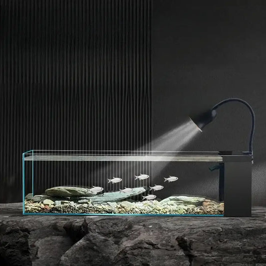 Modern rectangular glass betta fish tank with clear water rocks and silver fish illuminated by black gooseneck lamp decorbites betta fish tank