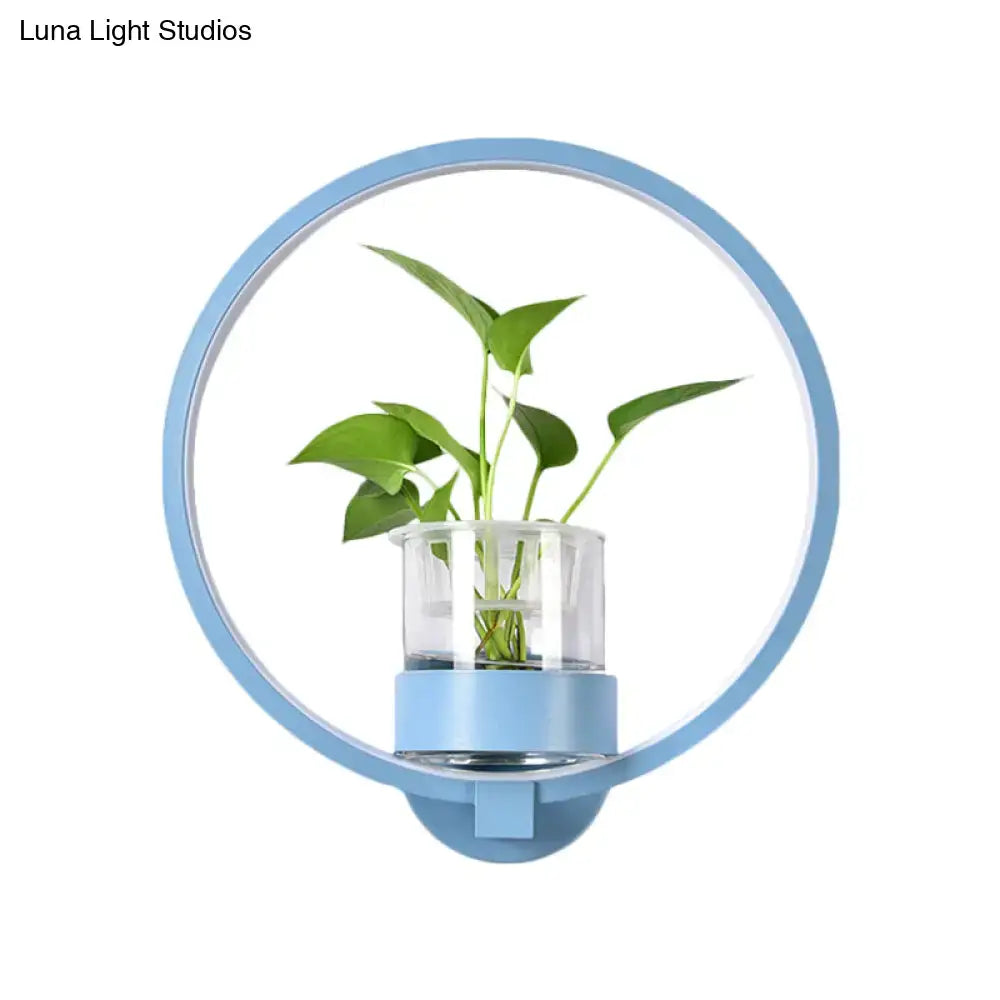 Modern silver wall light with light blue circular plant pot and clear glass vase holding green leafy plant 110v-120v