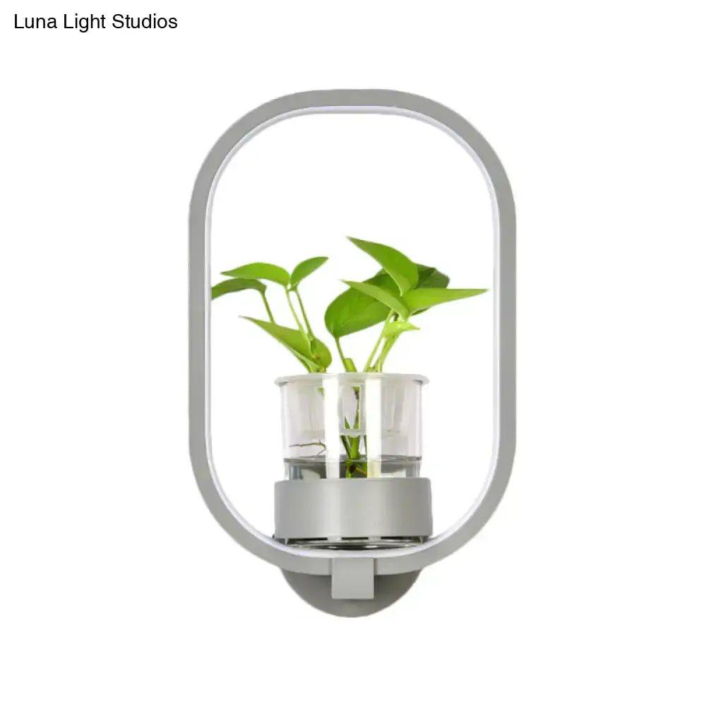 Modern silver wall light with gray oval plant pot and clear glass container holding vibrant green plant 110v-120v