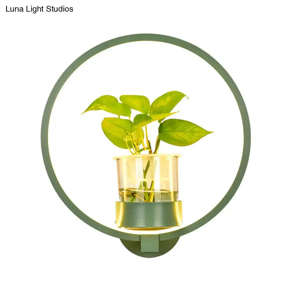 Modern silver wall light 110v-120v with green circular plant pot and clear glass vase holding vibrant green leaves