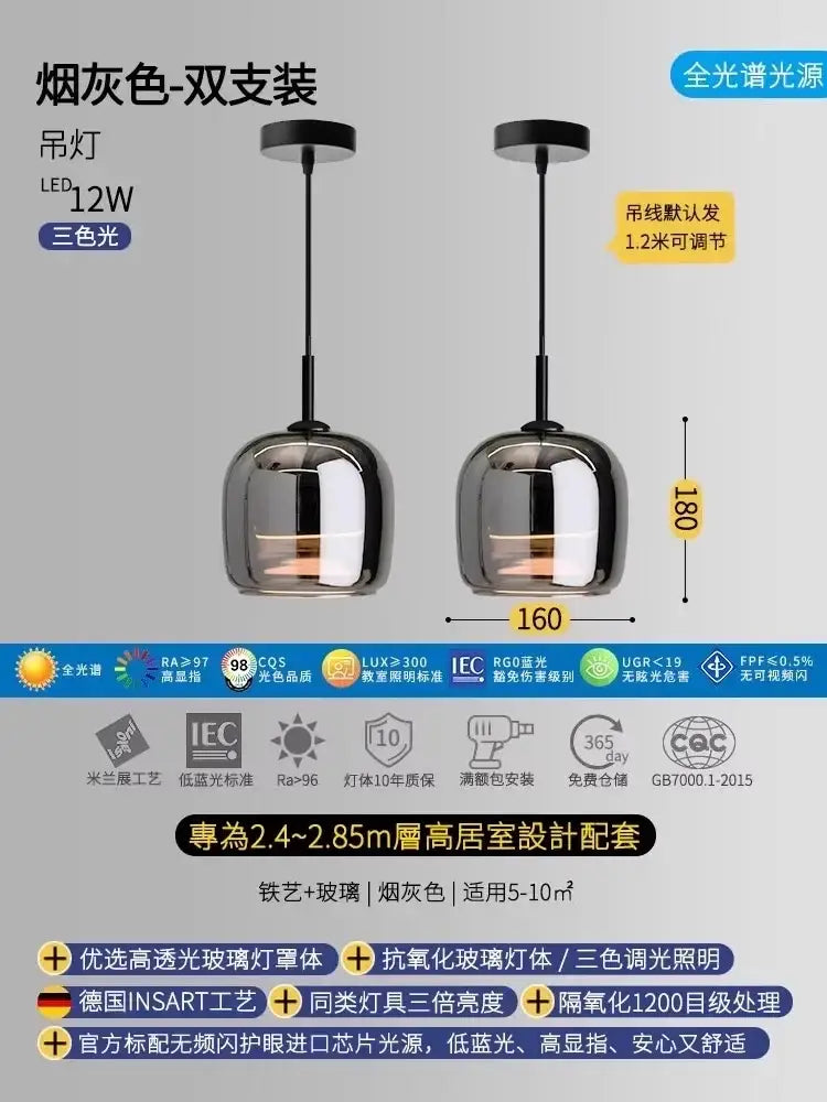 Smoke-gray dual-head pendant lights with sleek metallic finish and glass globe shades for modern bedroom LED lighting