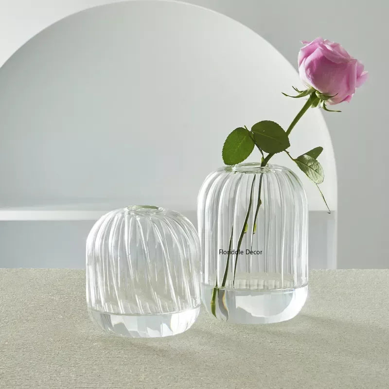 Modern Transparent Glass Vases Set for Home - Vase