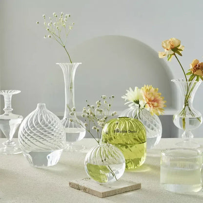 Modern Transparent Glass Vases Set for Home - Vase
