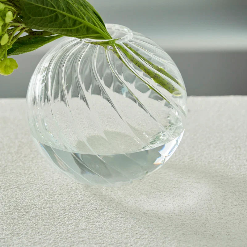 Modern Transparent Glass Vases Set for Home - Vase