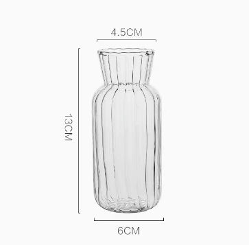 Modern Transparent Glass Vases Set for Home - T - Vase