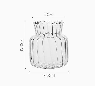 Modern Transparent Glass Vases Set for Home - X - Vase