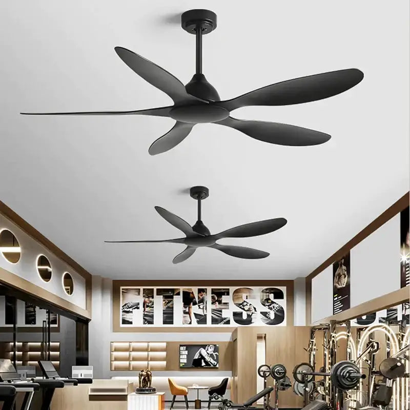 Modern white and wood 56-inch ceiling fan with black matte five sleek elongated blades for office use electric fan