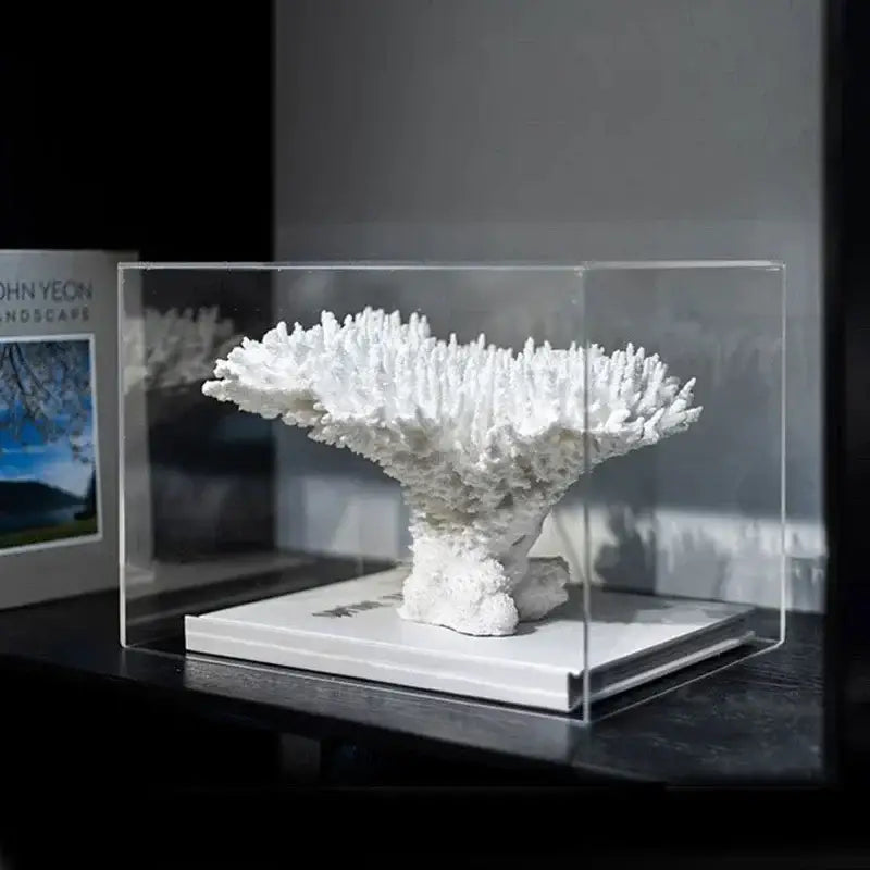 White intricately branched coral tree decorative ornament in clear acrylic case for modern living room decorbites coral tree