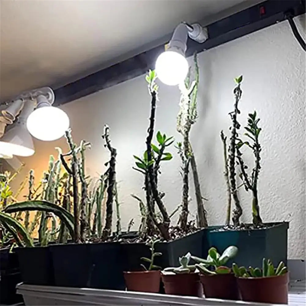 Modern white dimmable led track lighting fixture mounted on black rail above potted cacti and succulents for living room art