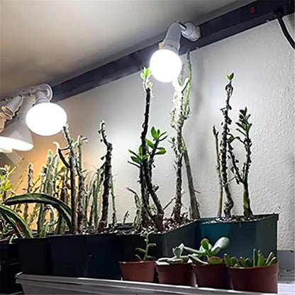 Modern white dimmable led track lighting fixture mounted on black rail above potted cacti and succulents for living room art