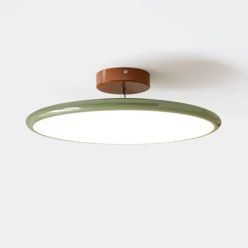 Modern wood and white nordic ceiling light with matte sage green diffuser and warm brown wood base decorbites dimmable ceiling lamp