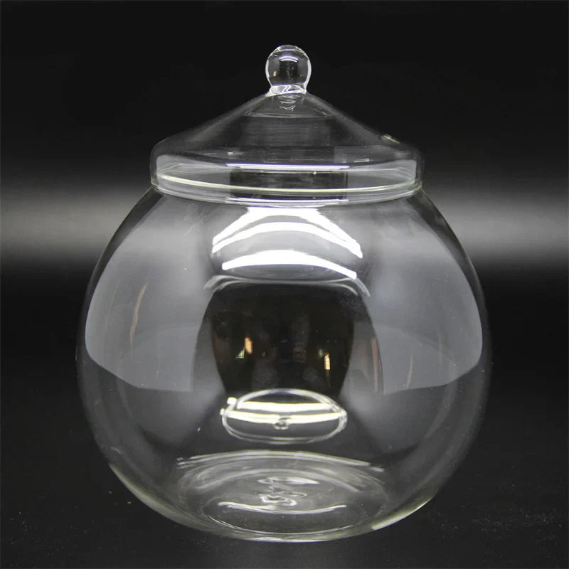 Moss Ball Glass Vase for Desktop Decor - 15X15cm With Lid - Vase