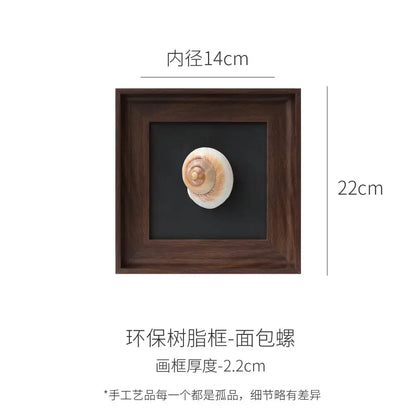 Natural abalone shell decorative painting frame with spiral beige seashell in dark brown wood for living room art
