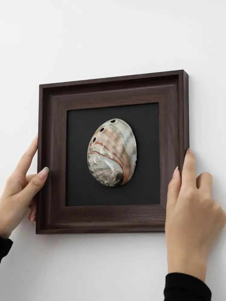 A polished dark brown wooden decorative painting frame features a natural abalone shell with iridescent patterns