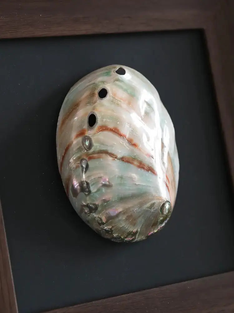 Natural abalone shell decorative painting frame with green brown and silver iridescent patterns in dark wood frame for living room art