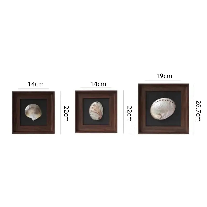 Three natural abalone shells in dark wood decorative painting frames with black backing labeled by size for living room art