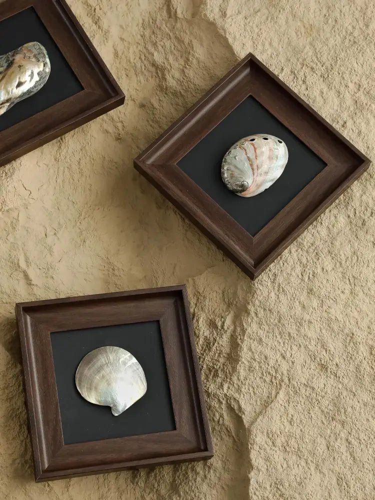 Dark wood-framed decorative painting featuring three iridescent abalone shells on black backing for living room art
