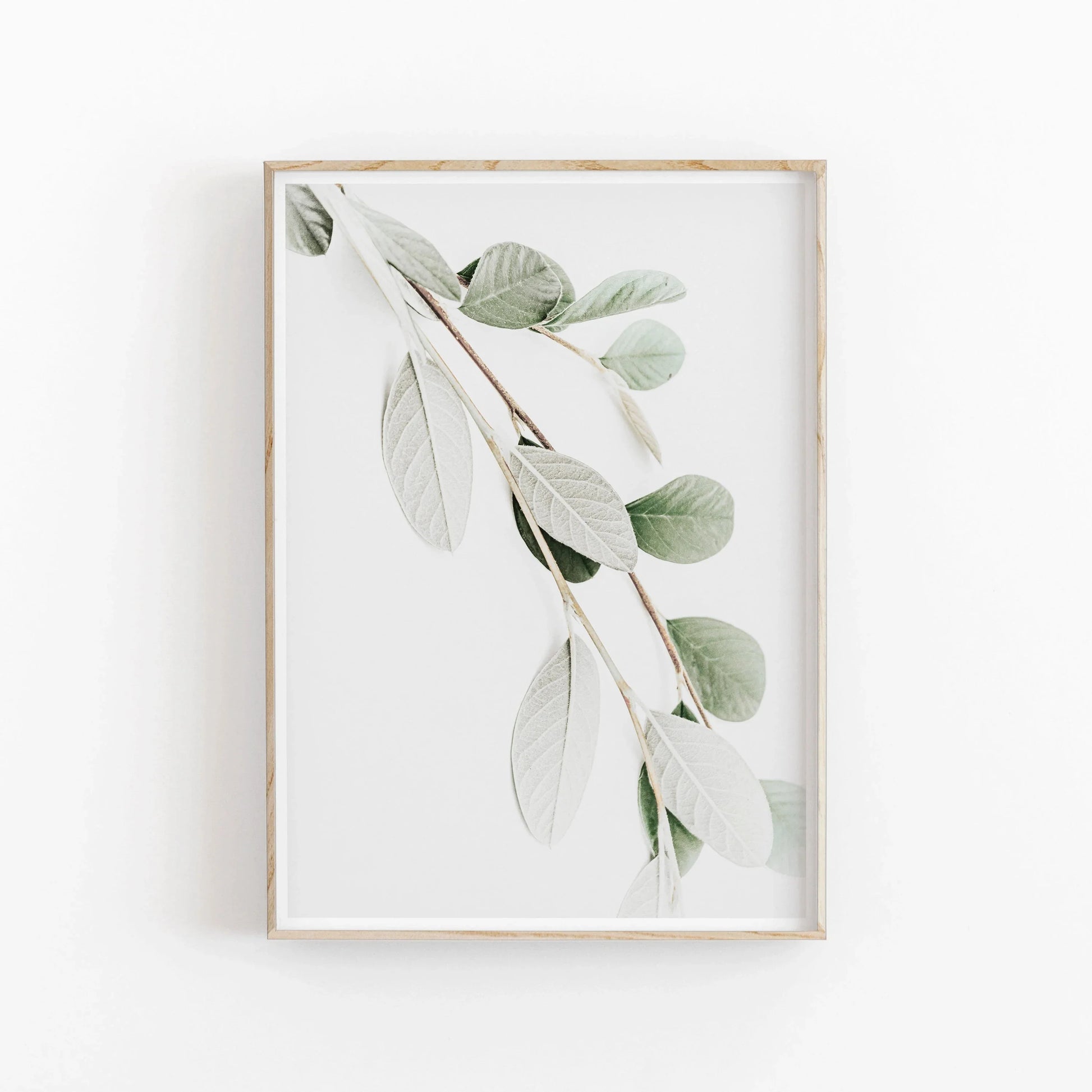 Nordic Botanical Poster Canvas Art - Eucalyptus Palm - 03 / 20x30cm No Framed - Posters