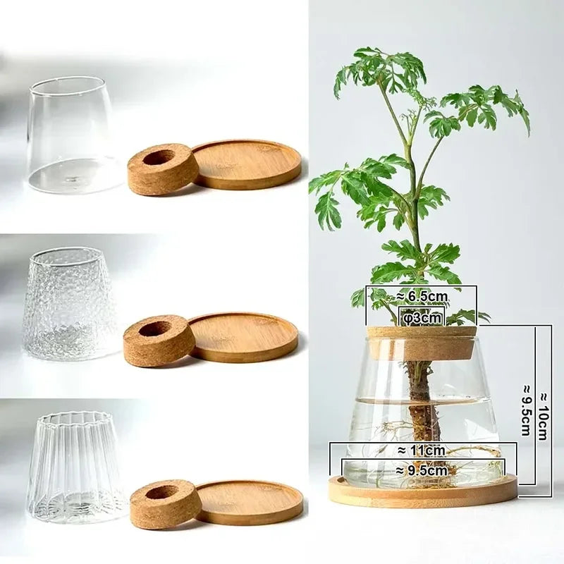 Nordic glass hydroponic vase with clear textured glass, cork lids, and wooden saucers for tabletop plants