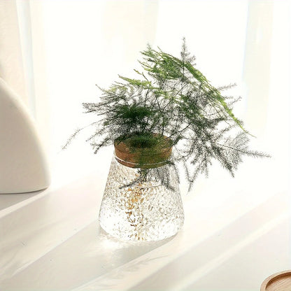 Nordic glass hydroponic vase with tray clear textured glass and cork lid holding green asparagus fern for home decor