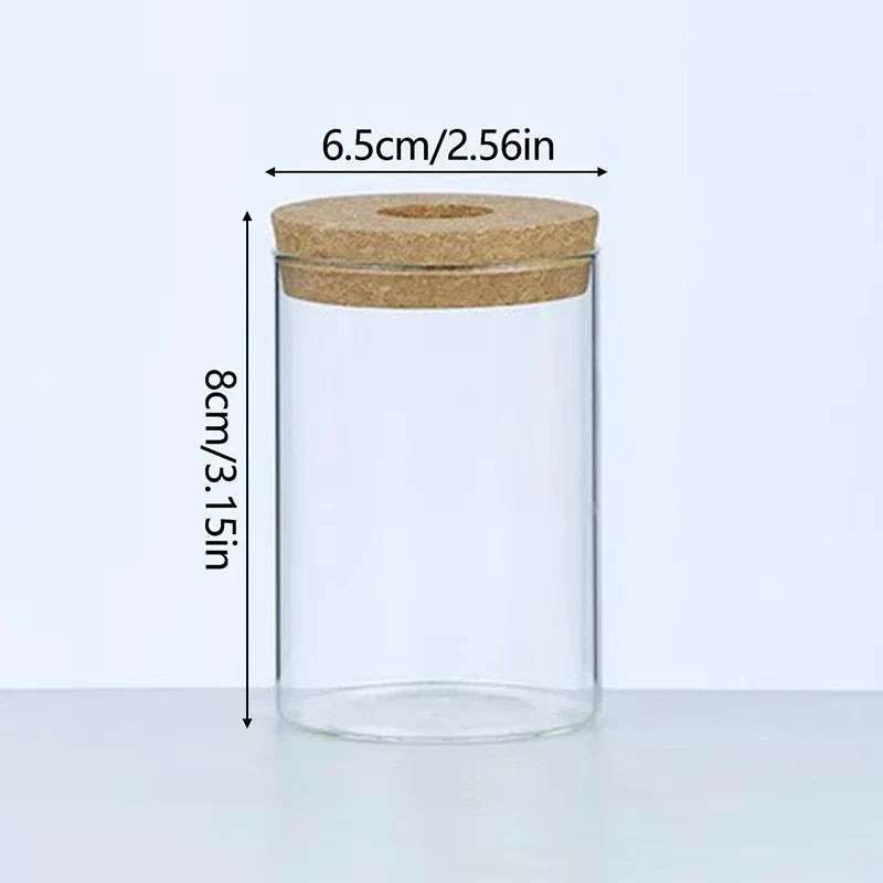 Clear glass nordic hydroponic vase with natural cork lid and tray for mini self-watering tabletop plants