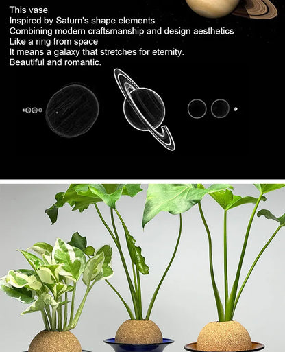 Nordic Glass Vase for Home Decor - Small Transparent Vase - Vase