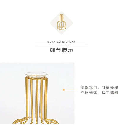 Nordic Iron Golden Hydroponic Vase with Dried Flowers - Vase