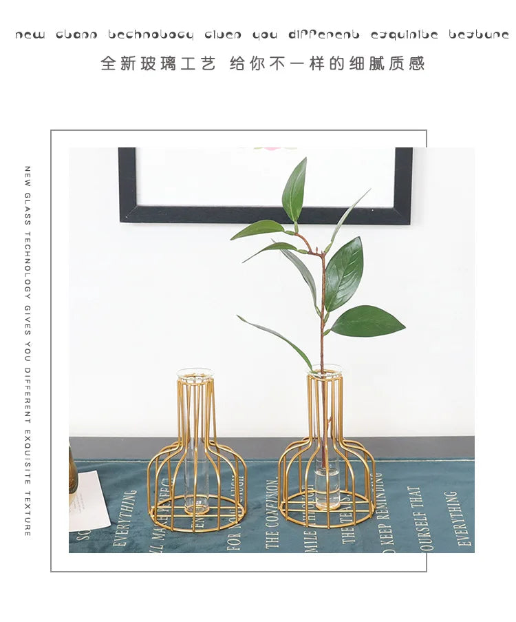 Nordic Iron Golden Hydroponic Vase with Dried Flowers - Vase