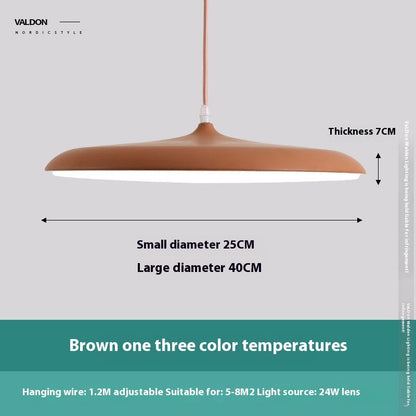 Brown pendant light with three color temperatures, 24w lens and adjustable hanging wire.