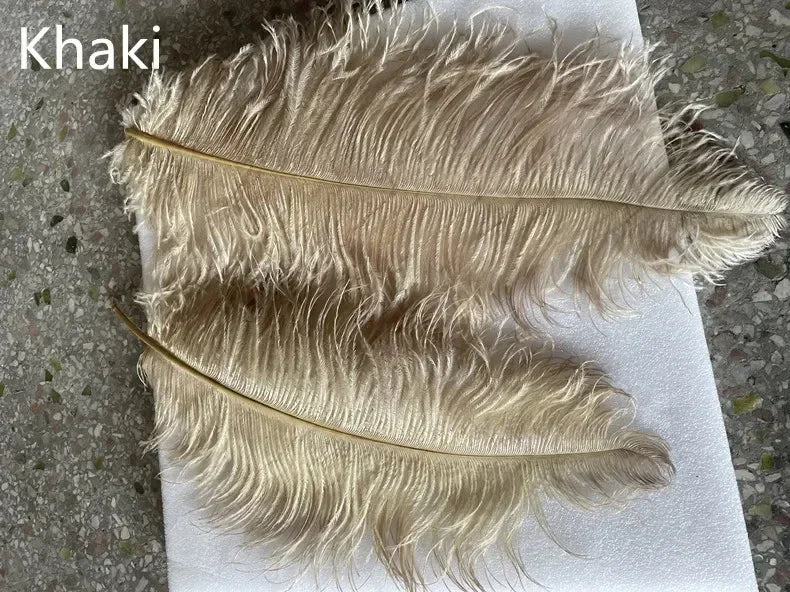 Two khaki-colored ostrich feathers with golden-brown shafts featured in a feather floor lamp for living room decor