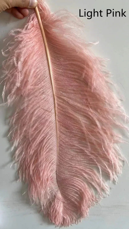 A light pink feather floor lamp with soft ostrich feather texture and natural shaft for living room decor