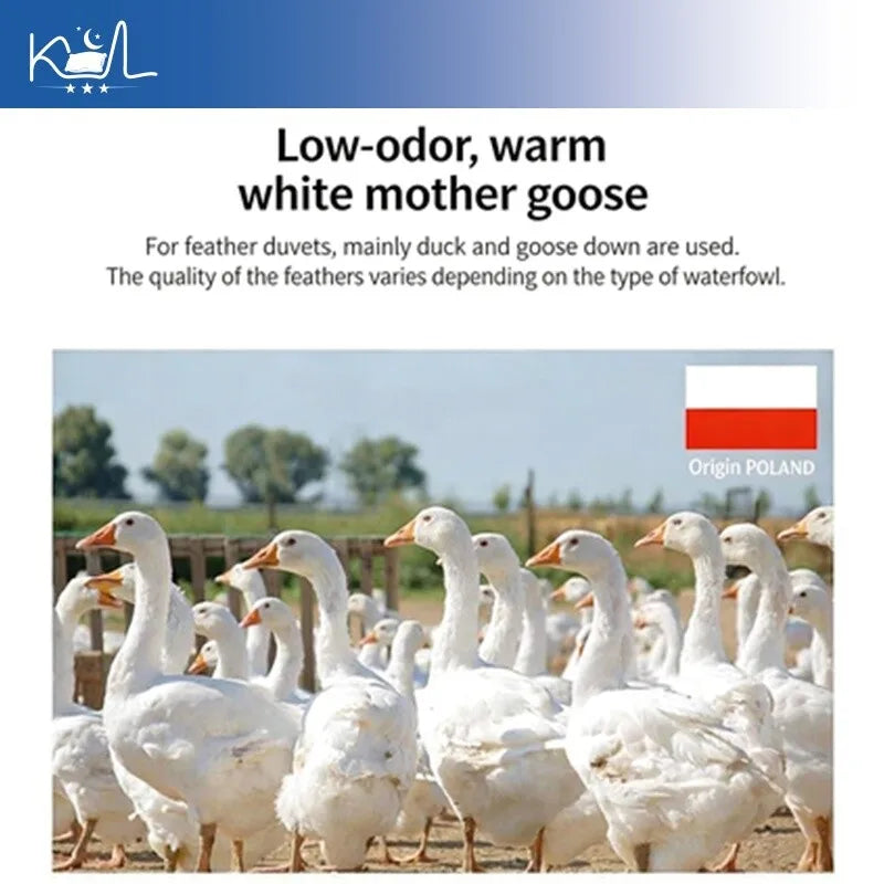 Original japanese made 95 percent white goose down quilt with low-odor warm white mother geese from poland for all seasons