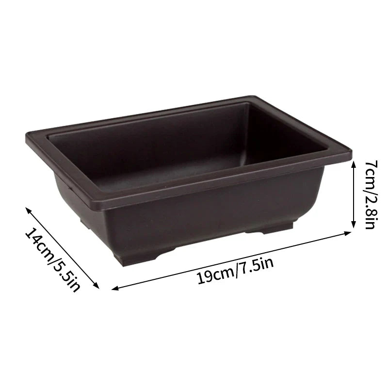 Dark brown rectangular plastic bonsai pot with rounded corners, shallow interior, ideal for succulent plants pots and garden use
