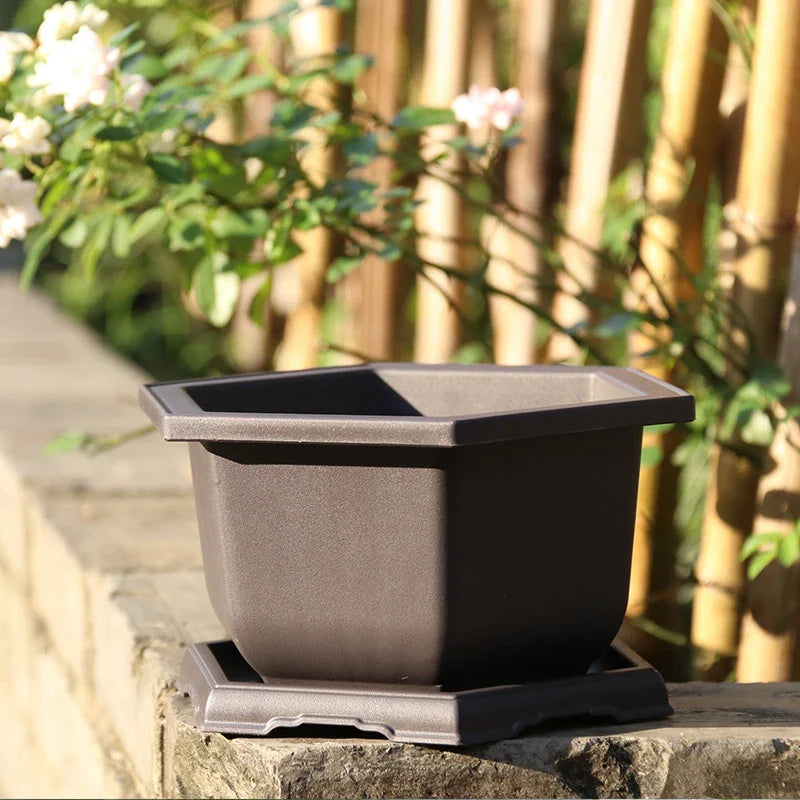 Dark gray hexagonal plastic bonsai pot with matching saucer suitable for outdoor garden succulent plants pots