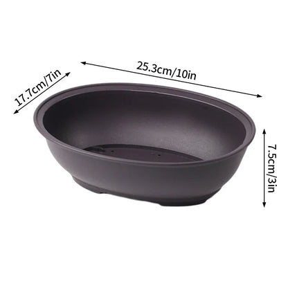 Dark gray oval ceramic bonsai pot with smooth matte finish and footed base ideal for succulent plants pots outdoors