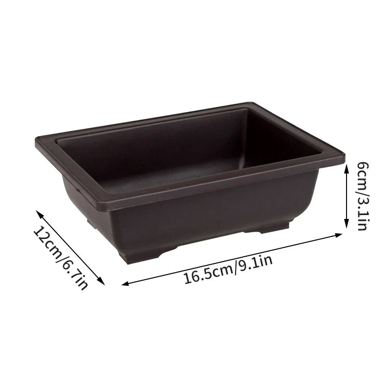 Dark brown rectangular plastic bonsai pot with rounded corners and shallow wide interior for succulent plants pots