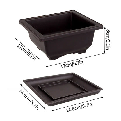 Black rectangular bonsai pot with matching tray made of durable plastic for outdoor succulent plants pots and garden use