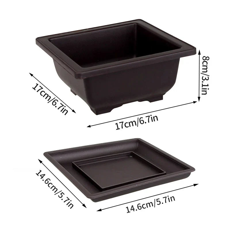 Black rectangular bonsai pot with matching tray made of durable plastic for outdoor succulent plants pots and garden use