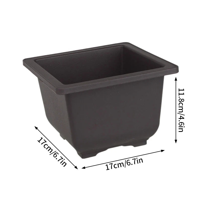 Black rectangular plastic bonsai pot with rounded corners and raised rim for outdoor succulent plants pots