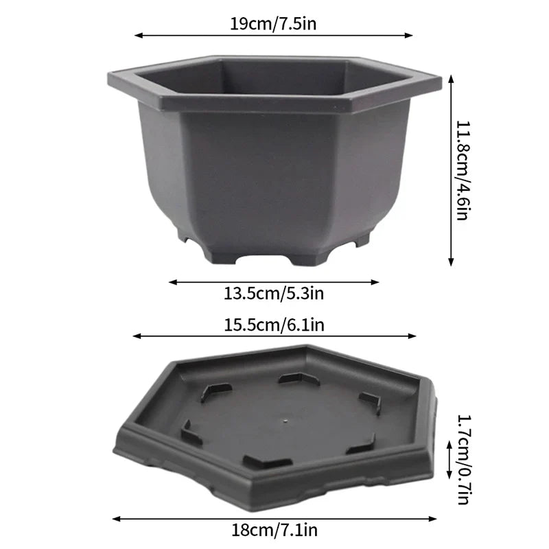 Dark gray hexagonal plastic bonsai pot with matching tray for outdoor garden landscape succulent plants pots